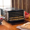 Lem Mighty Bite Brushed Nickel Silver 7-1/2 sq ft Food Dehydrator 1152